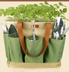 Free contest : A set of stainless steel gardening tools