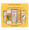 Free contest : A box of Burt's Bees essential products